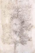 Claude Lorrain A Tree Trunks (mk17) USA oil painting artist